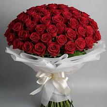 Букет 101 Красная роза Блэк Мэджик в Усово