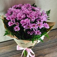 Букет цветов из:  Хризантемы #REPLACE_PRED# Усово