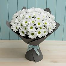Букет цветов из:  Хризантемы #REPLACE_PRED# Усово