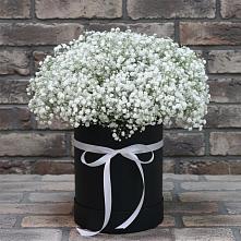 Цветочная композиция из Гипсофила в шляпной коробке в Усово